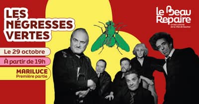 🎶 Les Négresses Vertes arrivent au Beau Repaire !